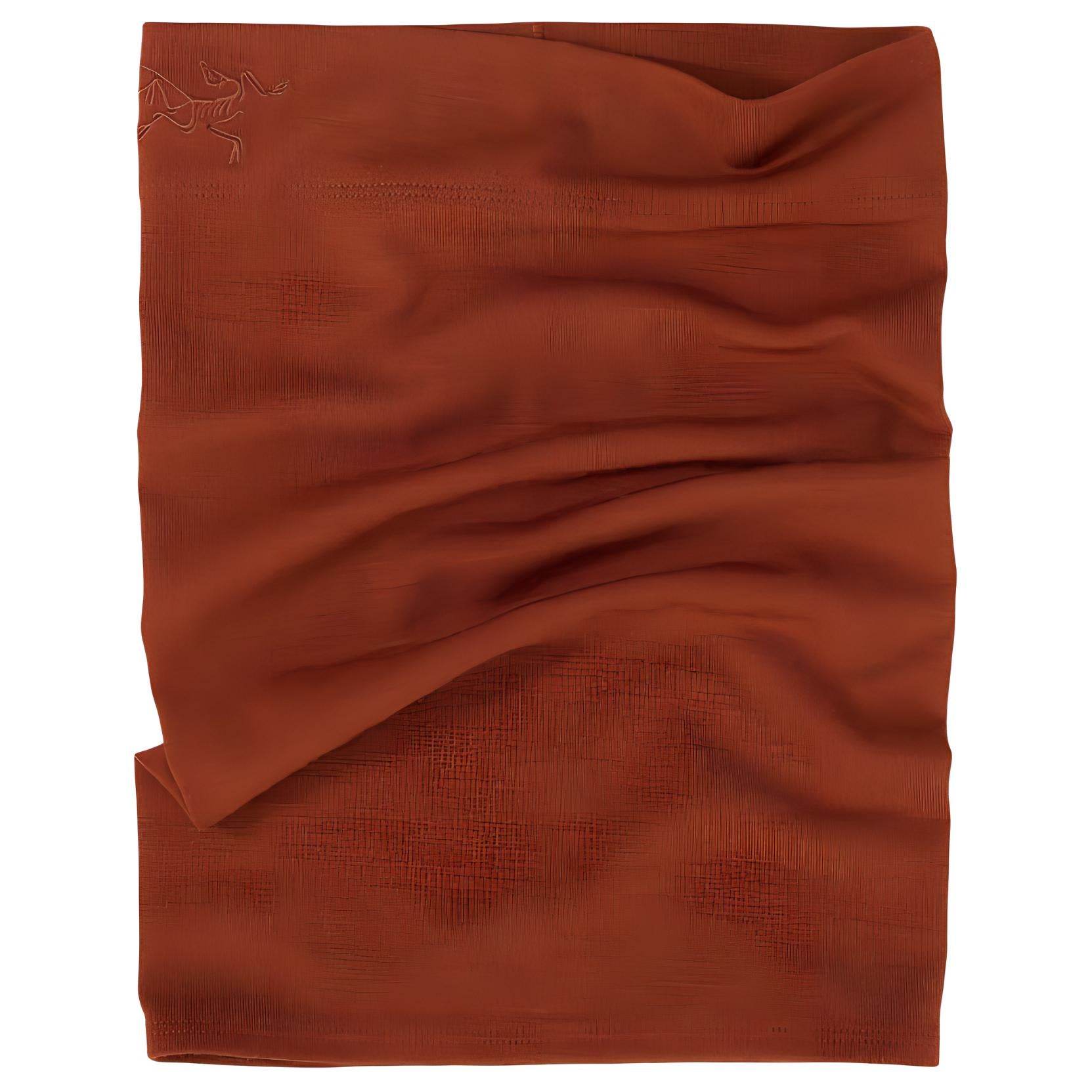 Балаклава Arc'teryx - Boxette Shop